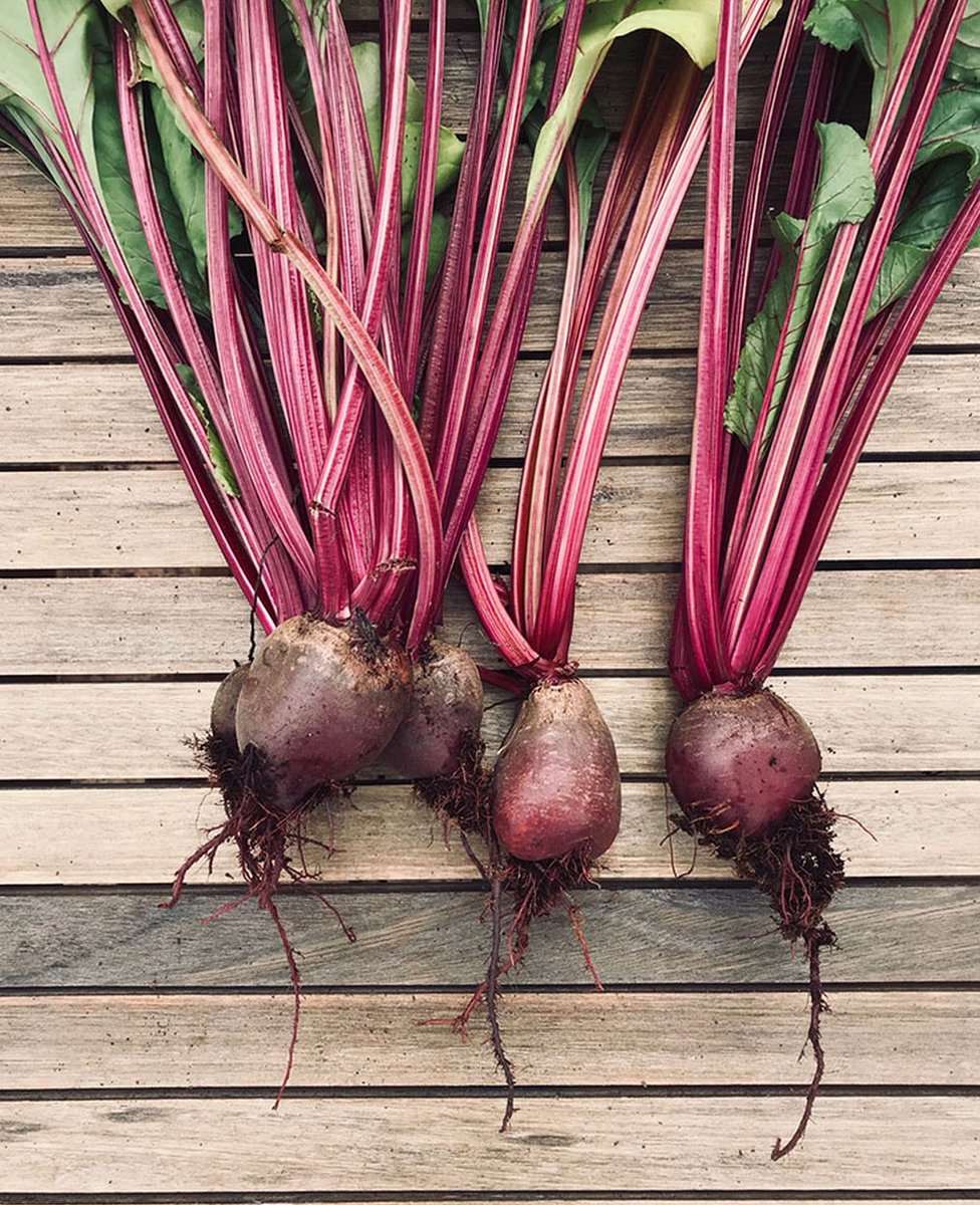 Beetroot