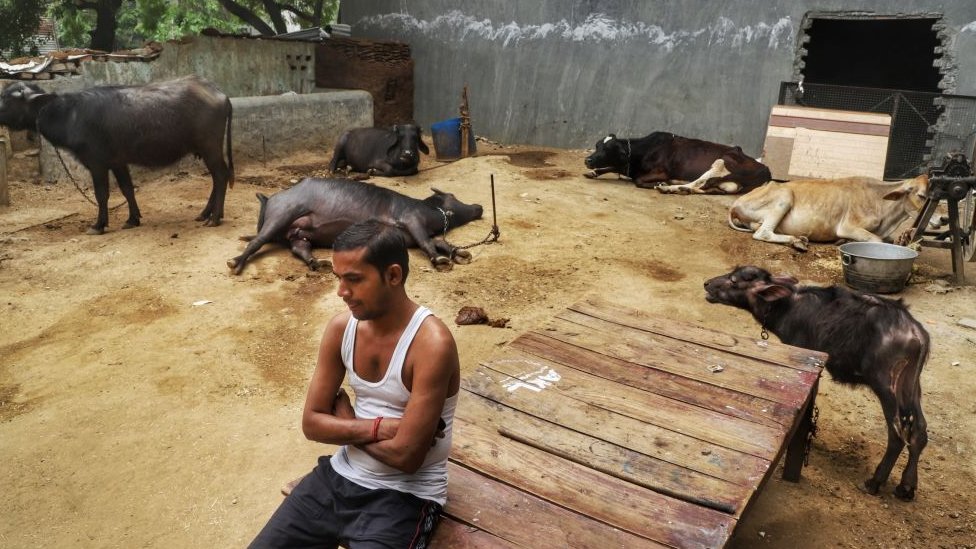 A migrant worker Ajay Kumar, 33, who's stuck in New Delhi, is dejected after he tried to book his train ticket multiple times in which he eventually failed to succeed in New Delhi, India on 13 May 2020. He is keen to join back his family. (