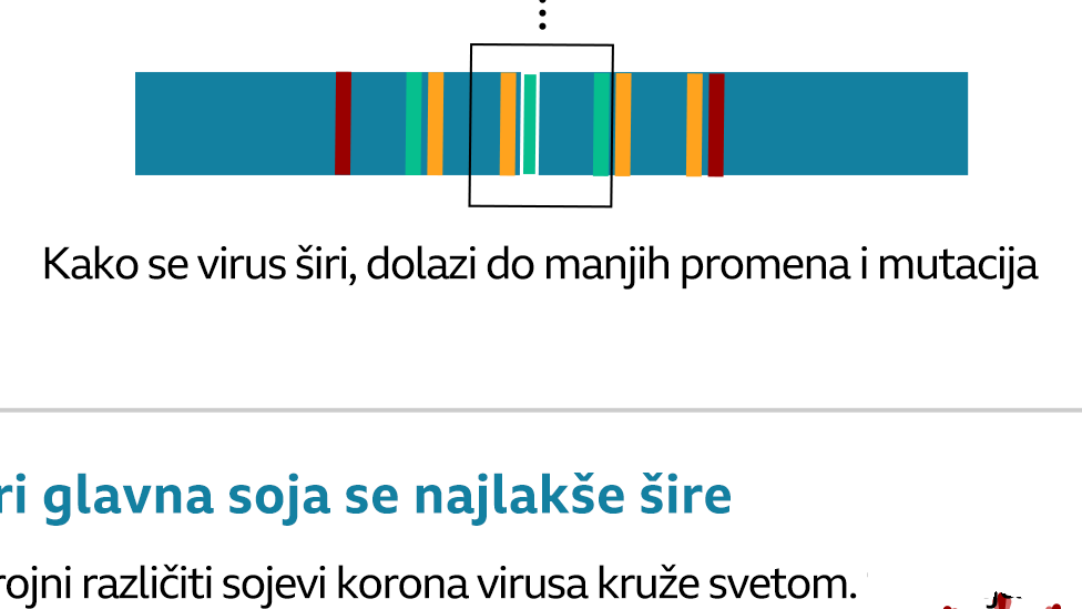 Novi sojevi virusa